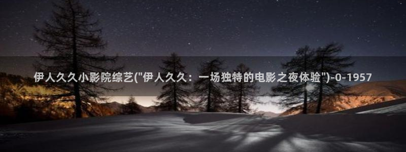 伊人久久久网综合影院