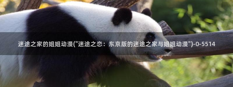 樱花动漫网站：迷途之家的姐姐动漫(\