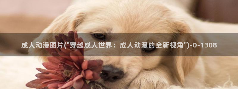 58动漫网站