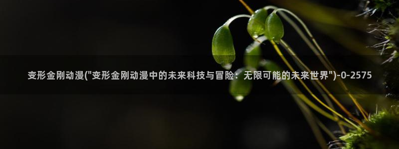 布丁动漫