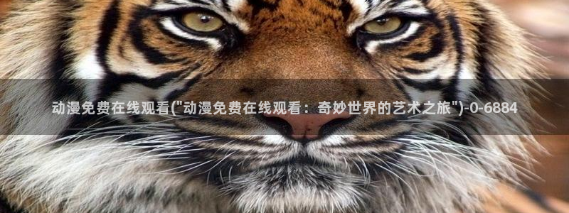 动漫漫画