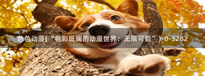免费看动漫